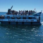 Dolphin watching on a Catamaran in Fuengirola - The Comfort and Practicalities