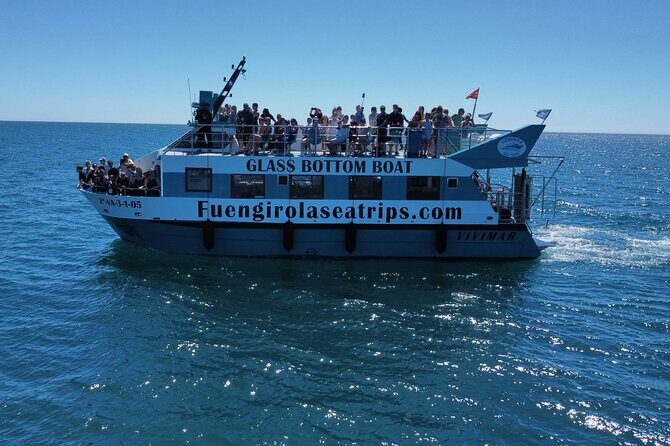 Dolphin watching on a Catamaran in Fuengirola - The Comfort and Practicalities
