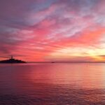 Dolphin Watching Sunset Speedboat Tour with Drinks in Rovinj - The Value of the Experience