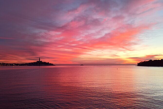 Dolphin Watching Sunset Speedboat Tour with Drinks in Rovinj - The Value of the Experience