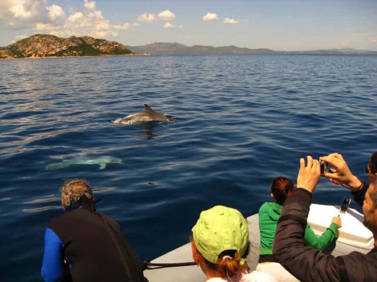 Dolphins: Dolphin Watching Tour and Capo Figari by Raft - The Realities and Drawbacks