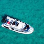 Dolphins Rib boat (up 6 people) Private - Practical Considerations