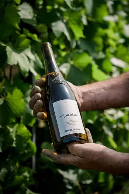 Domaine de Haute Perche: Anjou Noir Wine Tasting - The Itinerary Breakdown