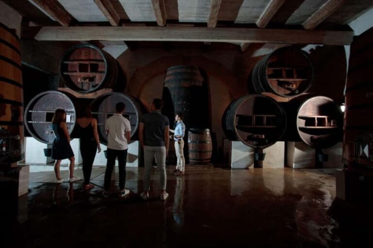 Domaine de Soustres, Montady : Visit and Tasting - The Details That Matter