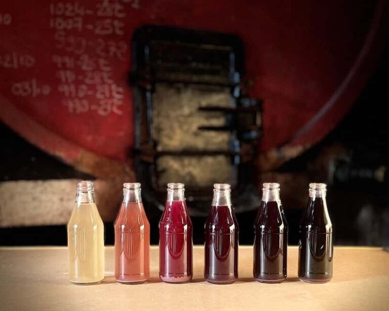 Domaine Tour Paradis: Winery Visit & Wine Tasting in Aiguèze - Is it Worth It? Analyzing the Value