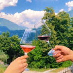 Domodossola: Savor Wines & Local Treats in a Scenic Vineyard - How This Experience Fits into Your Trip