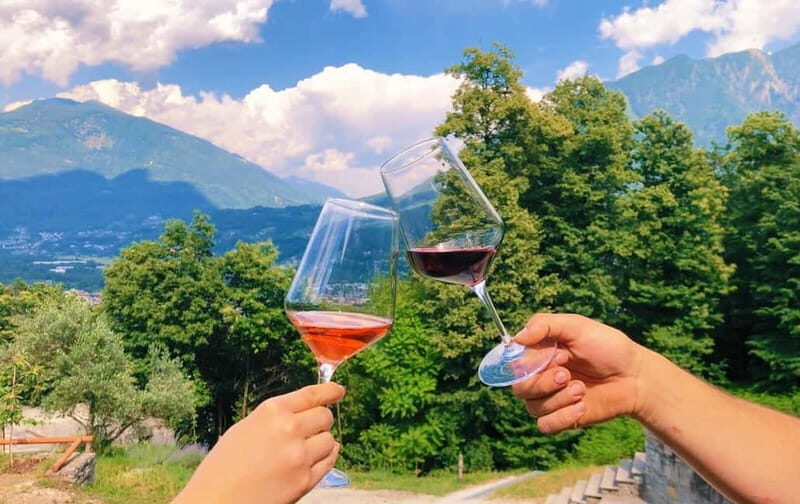 Domodossola: Savor Wines & Local Treats in a Scenic Vineyard - How This Experience Fits into Your Trip