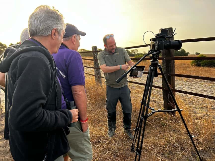 Doñana: 4x4 Excursion and Exclusive Access to Coto del Rey - Who Is This Tour Best For?