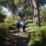Doñana National Park Off-Road Tour from Seville - What’s Included and What’s Not