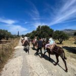 Donkey Riding - Coastline Ride - What to Expect During the Ride