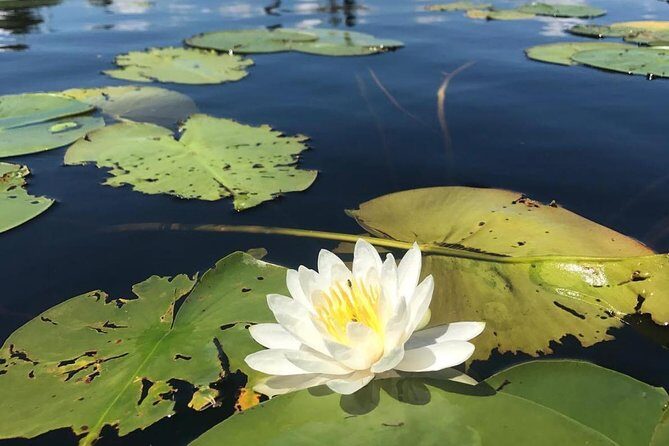 Door County Wetlands Kayak Tour - What is the Door County Wetlands Kayak Tour?