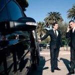 Door-To-Door Private Transfer Civitavecchia Port to Fiumicino FCO Airport - Who Would Benefit Most from This Service?