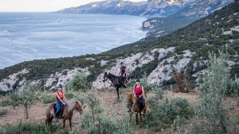 Dorgali: horseback ride for beginners in the Gulf of Orosei - Why Shorter Duration Can Be an Advantage