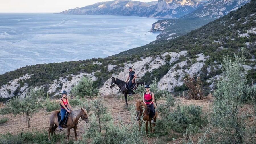 Dorgali: horseback ride for beginners in the Gulf of Orosei - Why Shorter Duration Can Be an Advantage