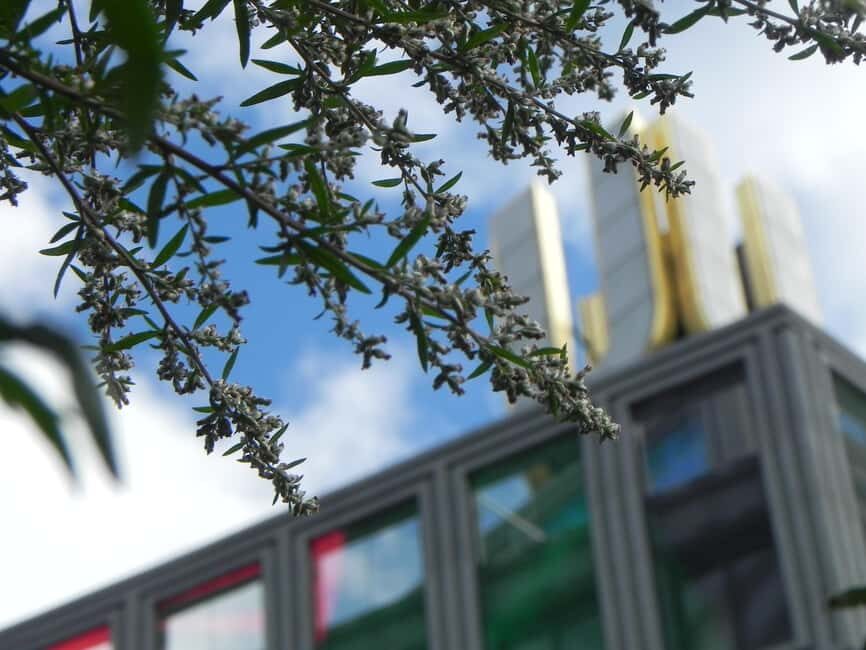 Dortmund beer history guided tour with tasting - FAQs