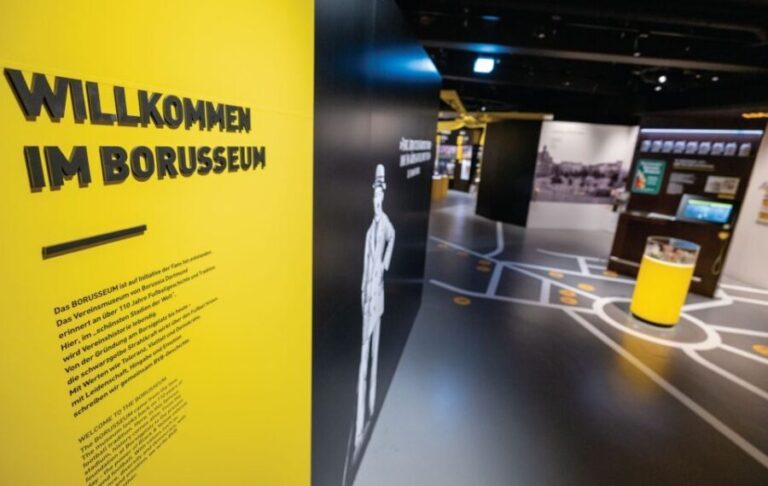 Dortmund: Borusseum Borussia Dortmund Museum Entry Ticket - What to Expect When Visiting Borusseum