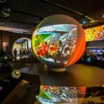 Dortmund: German Football Museum - The Highlights and Key Exhibits