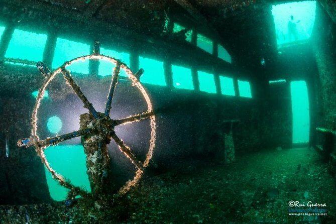 Double Dive the Fantastic Ocean Revival Park - What Are the Drawbacks?