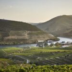 Douro and Port tasting Quinta do Bomfim - The Wines and the Experience