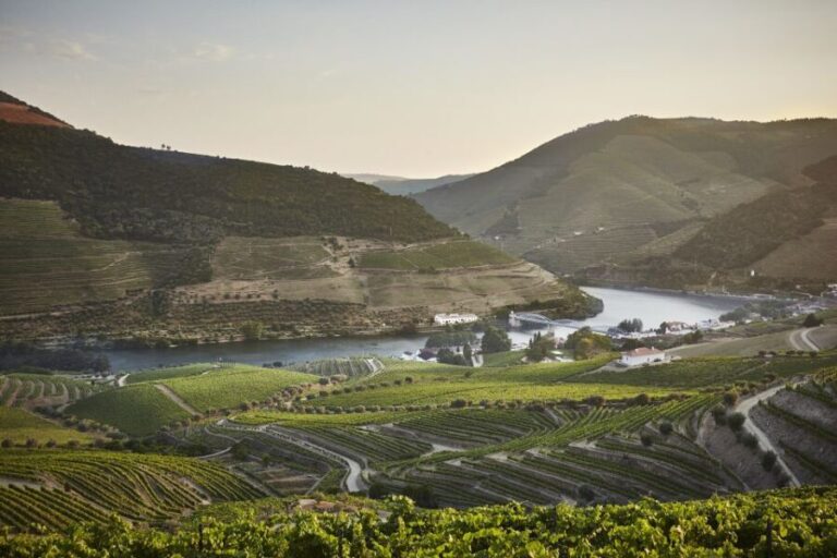 Douro and Port tasting Quinta do Bomfim - The Wines and the Experience