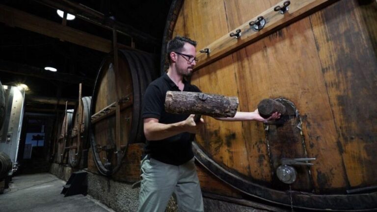 Douro: Classic Wine Tasting with Guided Tour - The Itinerary in Detail