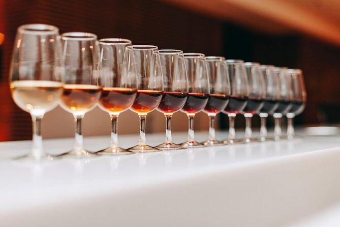 Douro Discovery Tasting - The Tasting Experience: What You’ll Sample