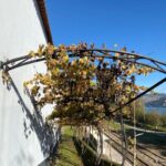 Douro from Porto - triathlon experience - An In-Depth Review of the Douro Triathlon Experience