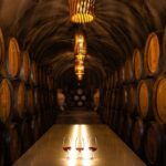 Douro Luxury - Douro Private Cruise with Premium Winery and Restaurant - Who Will Love This Tour?