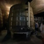 Douro melhor experiência vinho e comida Portuguesa - Final Thoughts: Who Should Consider This Trip?