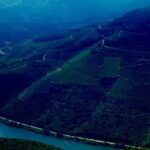 DOURO PREMIUM - The Van Journey (1.5 hours)