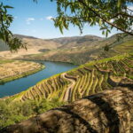 Douro Private Tour  Customizable Experience - FAQs About the Douro Private Tour