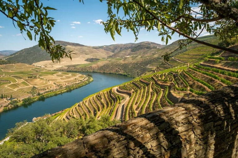 Douro Private Tour Customizable Experience - FAQs About the Douro Private Tour