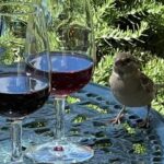 Douro Tour: Wine Tastings, Boat Ride & Manor House Lunch - The Value of This Tour