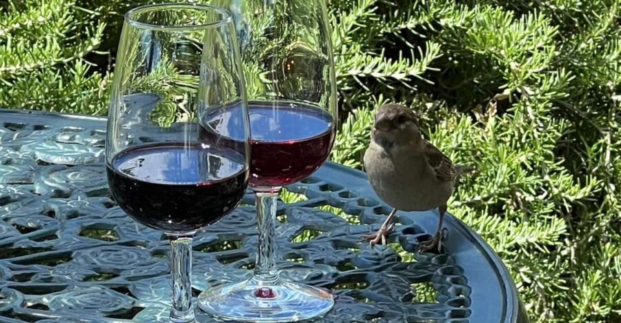 Douro Tour: Wine Tastings, Boat Ride & Manor House Lunch - The Value of This Tour