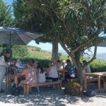 Douro Tour with Wine Tasting and Visit to Lamego and Pinhão - A Deep Dive into the Douro Tour Experience