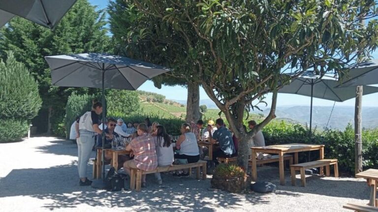 Douro Tour with Wine Tasting and Visit to Lamego and Pinhão - A Deep Dive into the Douro Tour Experience