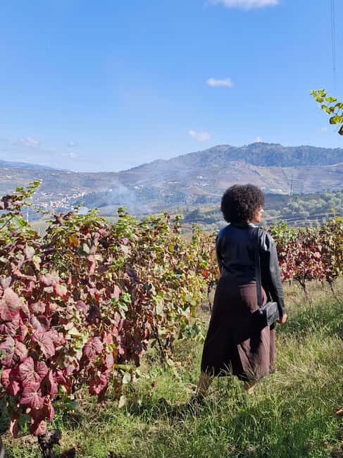 Douro Valley: 2 Vineyard Visits with Lunch and River Cruise - The Experience in Detail