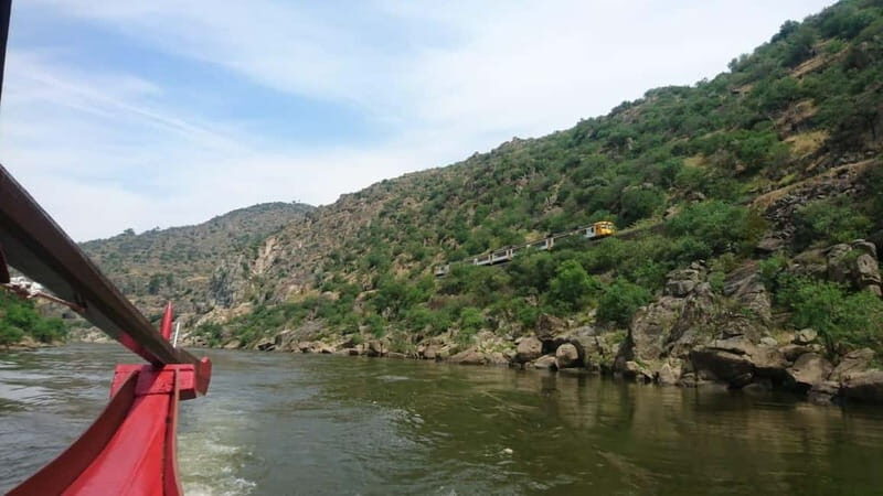 Douro Valley: 2 Wineries, Lunch & Boat - The Pros and Cons