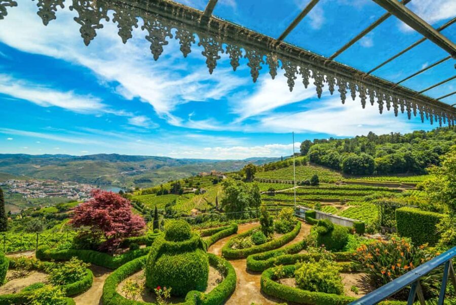 Douro Valley: A Sensory Experience in the Douro: Wines, Olive Oil, and History - Who Will Love This Tour?