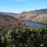 Douro Valley & Amarante - from Porto, Braga or Guimarães - How the Tour Runs: Logistics and Practicalities