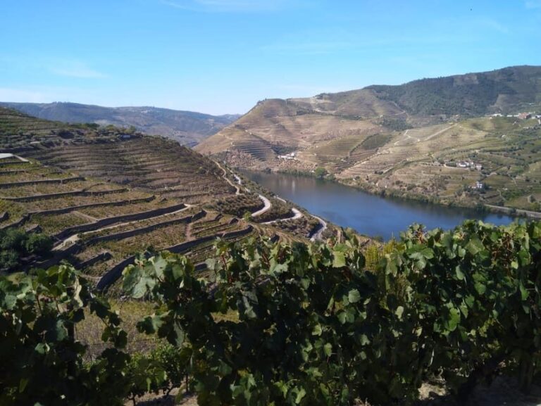 Douro Valley & Amarante - from Porto, Braga or Guimarães - How the Tour Runs: Logistics and Practicalities