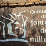 Douro Valley amazing wine Tours - FAQs