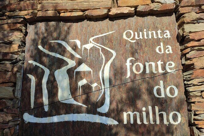 Douro Valley amazing wine Tours - FAQs