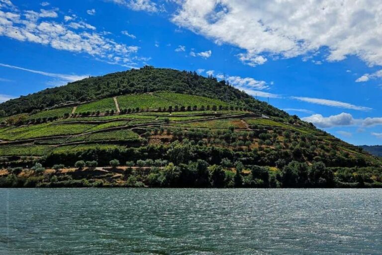 Douro Valley and Vinho Verde: 2 Wineries, Lunch, and a Rabelo Boat Ride - The Experience from the Traveler’s Perspective