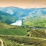Douro Valley: Cruise & vineyard discovery from Porto or Aveiro - Key Points