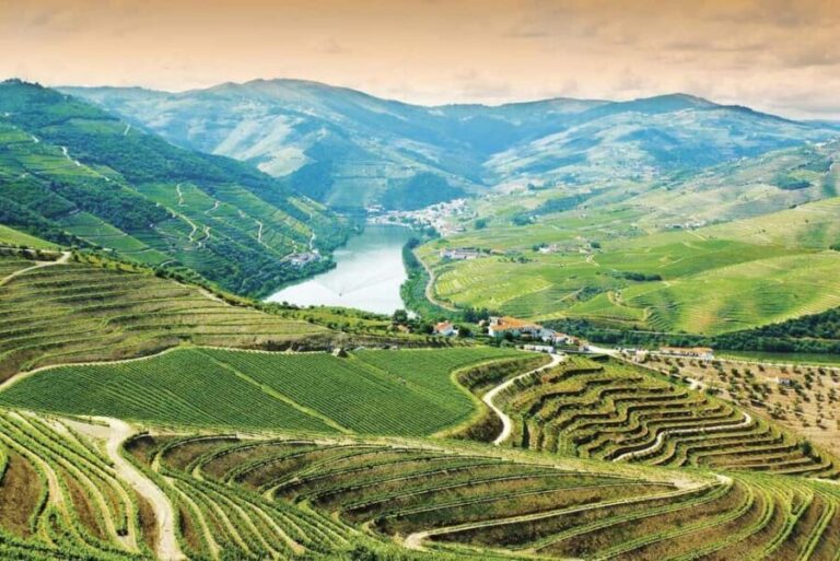 Douro Valley: Cruise & vineyard discovery from Porto or Aveiro - Key Points
