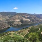 Douro Valley: Douro Valley Tour Including 3 Wineries - How Does It Value Compare?