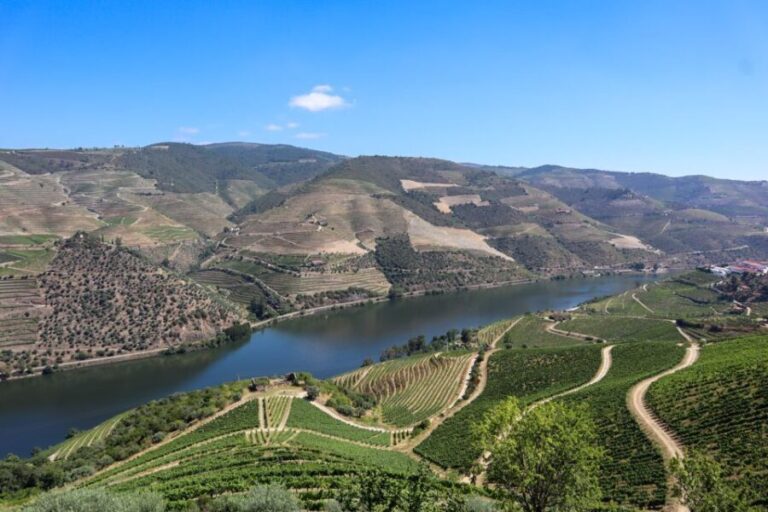 Douro Valley: Douro Valley Tour Including 3 Wineries - How Does It Value Compare?