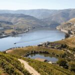 Douro Valley : Exclusive and Sustainable experience - The Experience in Detail