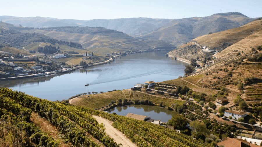 Douro Valley : Exclusive and Sustainable experience - The Experience in Detail